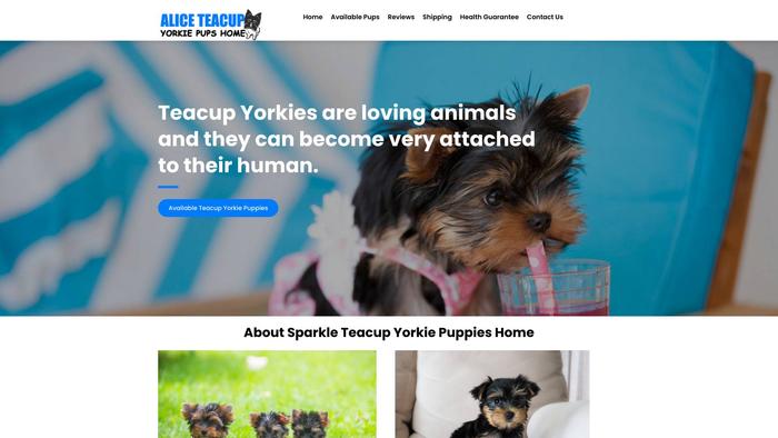 Aliceteacupyorkiepupshome.com - Yorkshire Terrier Puppy Scam Review