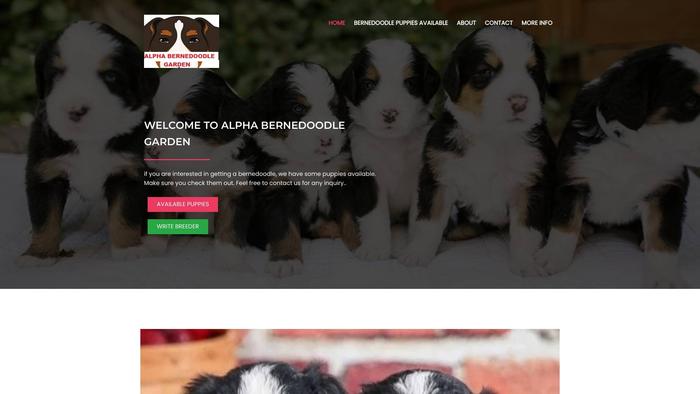 Alphabernedoodlegarden.com - Bernedoodle Puppy Scam Review