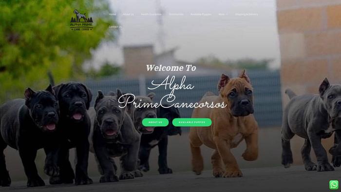 Alphaprimecanecorsos.com - Cane Corso Puppy Scam Review