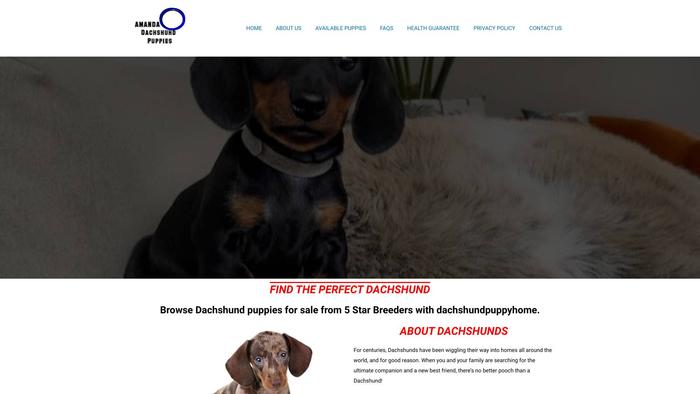 Amandadachshundpuppies.com - Dachshund Puppy Scam Review