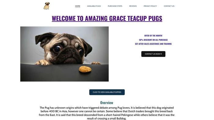 Amazinggracepugspuppies.com - Pug Puppy Scam Review