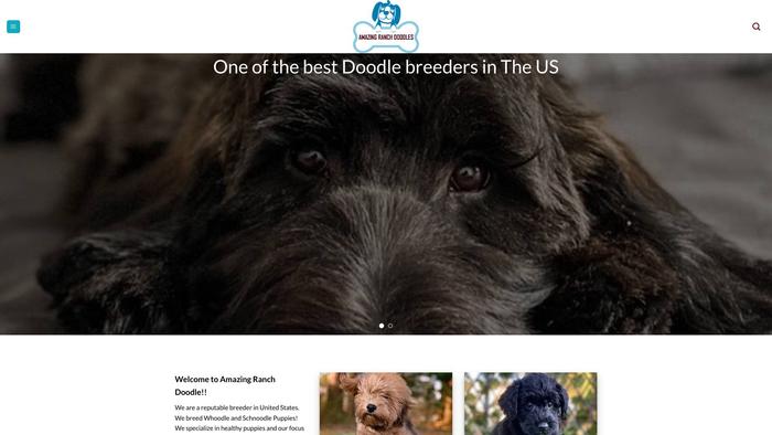 Amazingranchdoodles.com - Labradoodle Puppy Scam Review