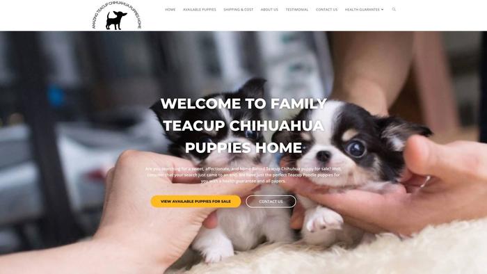 Amazingteacupchihuahuahome.com - Chihuahua Puppy Scam Review