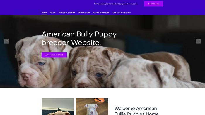 Americanbulliepuppieshome.com - Pit Bull Puppy Scam Review