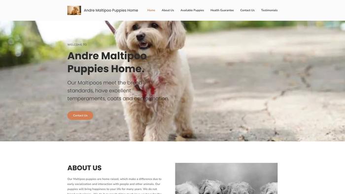 Andremaltipoopuppieshome.com - Maltipoo Puppy Scam Review