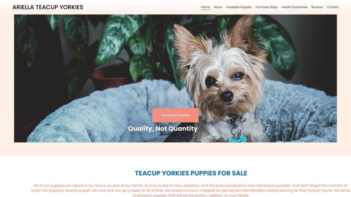 Ariellateacupyorkies.com - Yorkshire Terrier Puppy Scam Review