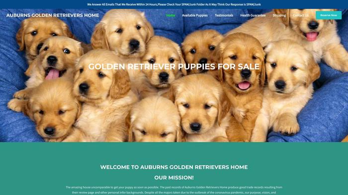 Auburnsgoldenretrievershome.com - Golden Retriever Puppy Scam Review