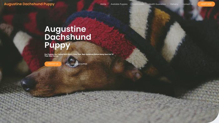 Augustinedachshundpuppy.com - Dachshund Puppy Scam Review