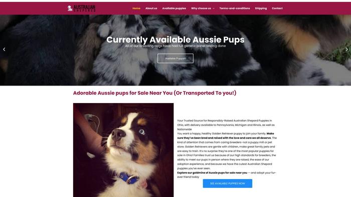 Australiansheperd.com - Australian Shepherd Puppy Scam Review