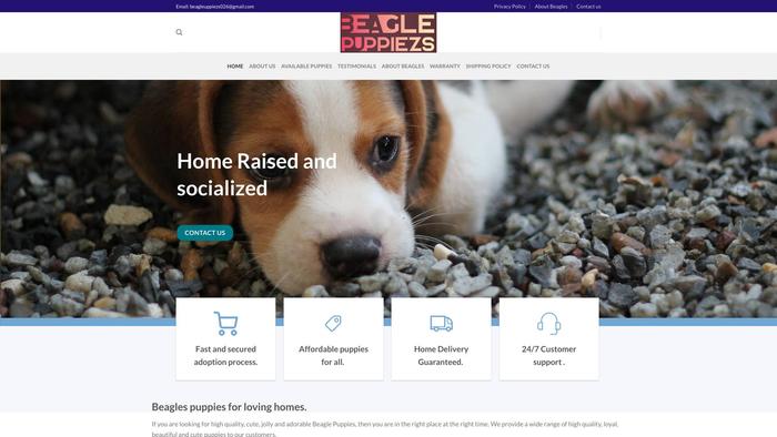 Beaglepuppiezs.com - Beagle Puppy Scam Review