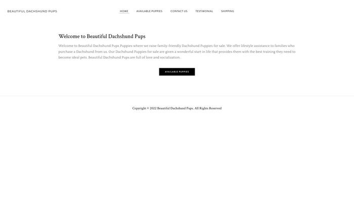 Beautifuldachshundpups.com - Dachshund Puppy Scam Review