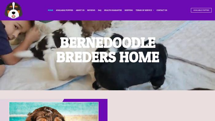 Bernedoodlebreedershome.com - Bernedoodle Puppy Scam Review