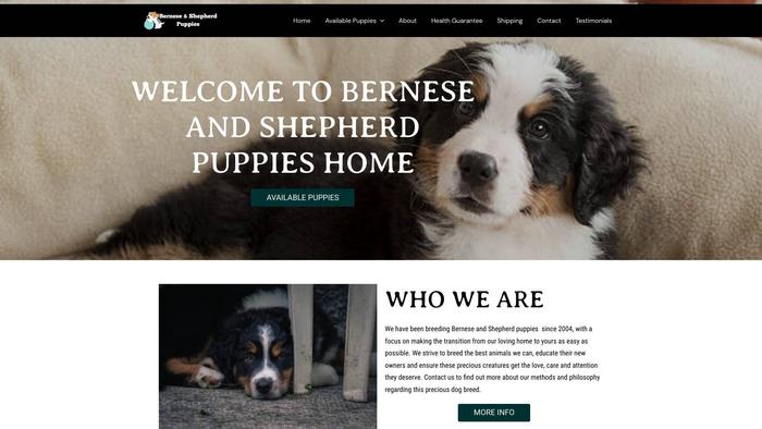 Berneseandshepherdpuppies.com - Bernese Mountain Dog Puppy Scam Review