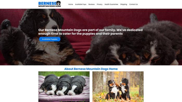 Bernesemountaindogshome.com - Bernese Mountain Dog Puppy Scam Review