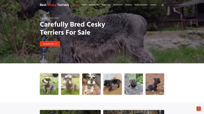 Bestceskyterriers.com - Terrier Puppy Scam Review