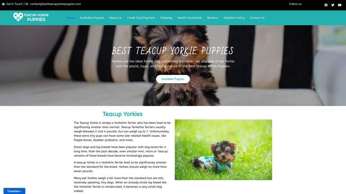 Bestteacupyorkiepuppies.com - Yorkshire Terrier Puppy Scam Review