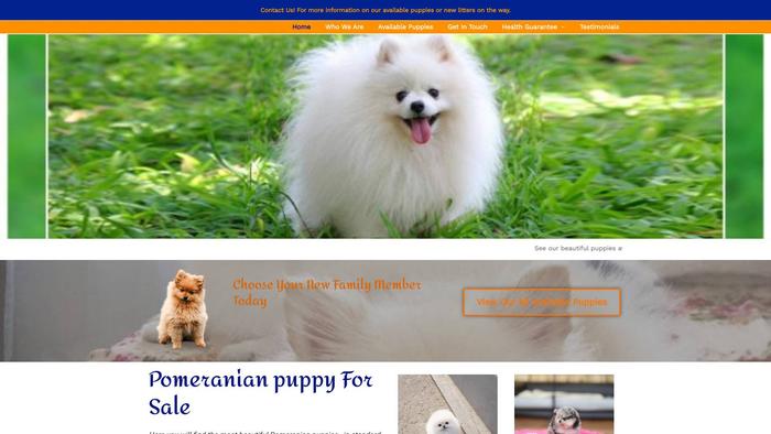 Blackpearlteacuppom.us - Yorkshire Terrier Puppy Scam Review