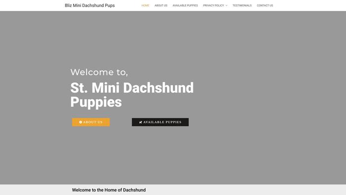 Blizminidachshundpups.com - Dachshund Puppy Scam Review