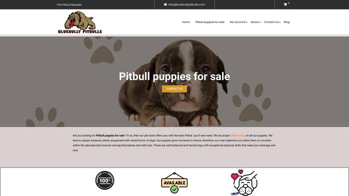 Bluebullypitbulls.com - Pit Bull Puppy Scam Review