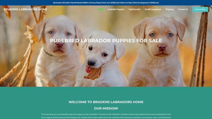 Bradenslabradorshome.com - Labrador Puppy Scam Review