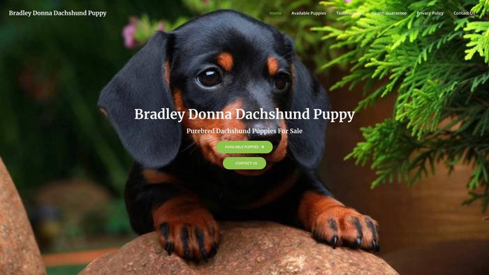 Bradleydonnadachshundpuppy.com - Dachshund Puppy Scam Review