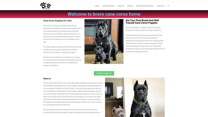 Bravecanecorsohome.com - Cane Corso Puppy Scam Review