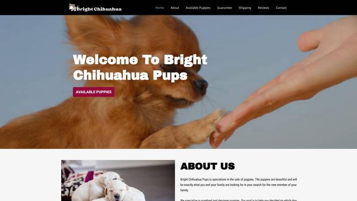 Brightchihuahuapups.com - Chihuahua Puppy Scam Review