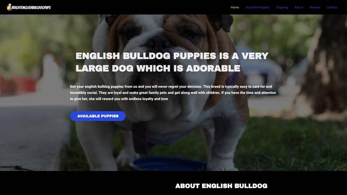 Brightenglishbulldogpups.com - English Bulldog Puppy Scam Review