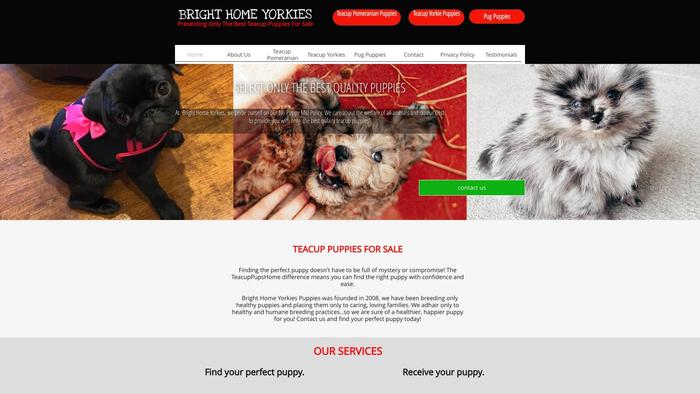 Brighthometeacupyorkies.com - Yorkshire Terrier Puppy Scam Review