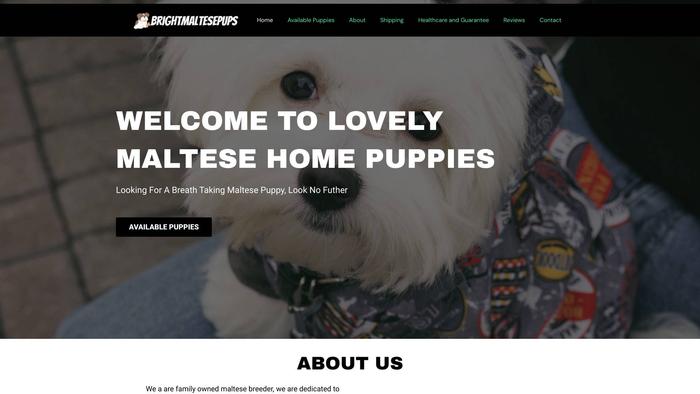 Brightmaltesepups.com - Maltese Puppy Scam Review