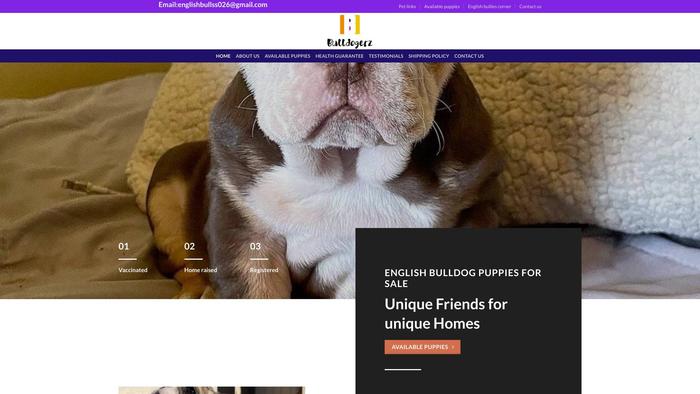 Bulldogerzs.com - Bulldog Puppy Scam Review