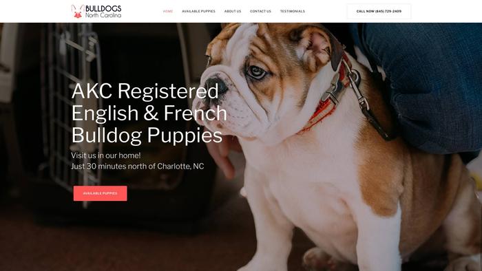 Bulldogsofnorthcarolina.com - Bulldog Puppy Scam Review