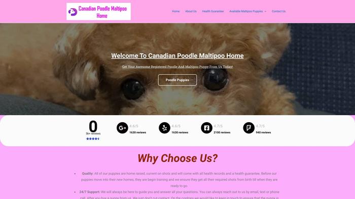 Canadianpoodlemaltipoohome.com - Maltipoo Puppy Scam Review