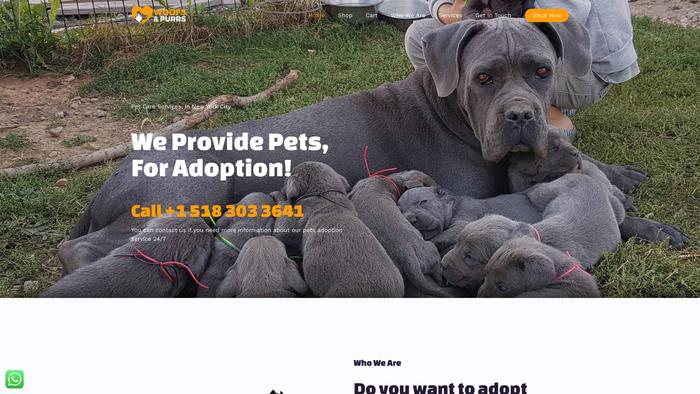 Canecorso.store - Cane Corso Puppy Scam Review