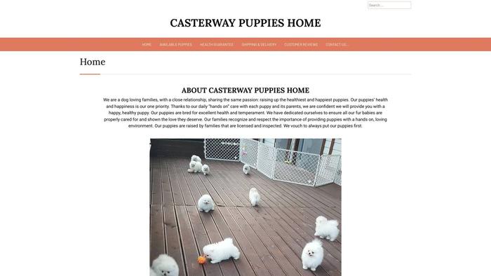 Casterwaypuppies.com - French Bulldog Puppy Scam Review