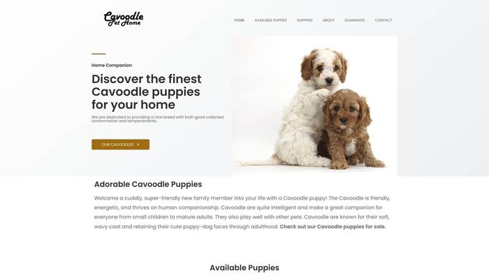 Cavoodlepethome.com - Cavapoo Puppy Scam Review