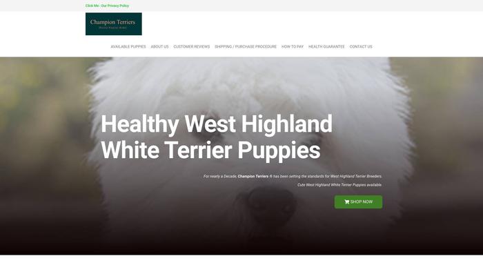 Championterriers.shop - Terrier Puppy Scam Review