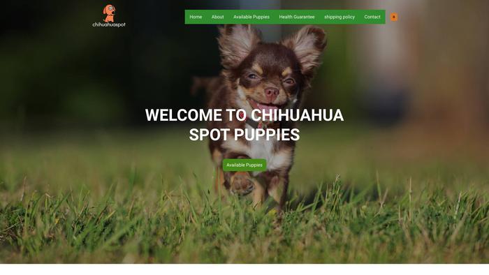 Chihuahuaspot.com - Chihuahua Puppy Scam Review