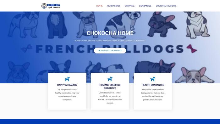 Chokochahome.online - Bulldog Puppy Scam Review