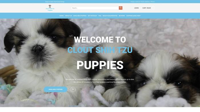 Cloutshihtzupuppies.us - Shihtzu Puppy Scam Review