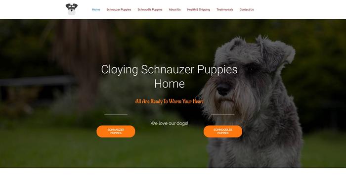 Cloyingschnauzerpuppieshome.com - Schnauzer Puppy Scam Review