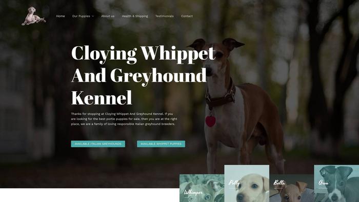 Cloyingwhippetandgreyhoundkennel.com - Whippet Puppy Scam Review