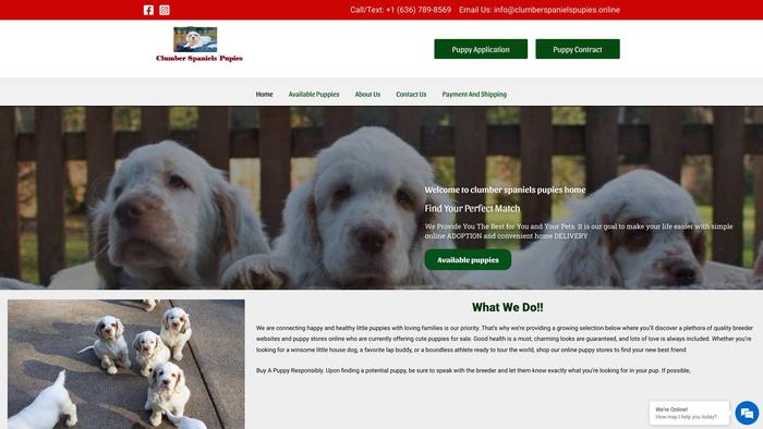 Clumberspanielspupies.online - Spaniel Puppy Scam Review