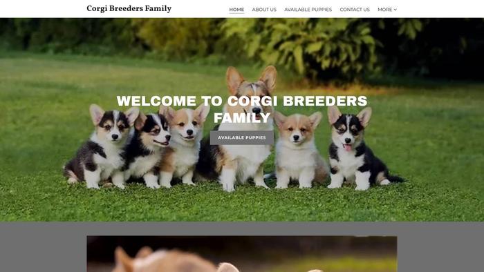 Corgibreedersfamily.com - Corgi Puppy Scam Review