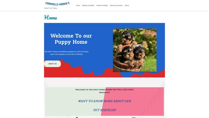 Cornwellsmorkiepuppies.store - Yorkshire Terrier Puppy Scam Review