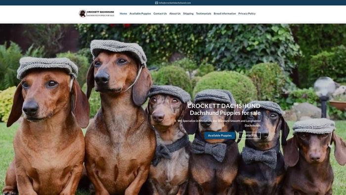 Crockettdachshund.com - Dachshund Puppy Scam Review