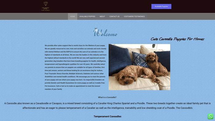 Cutecavoodlepuppies.online - Cavapoo Puppy Scam Review