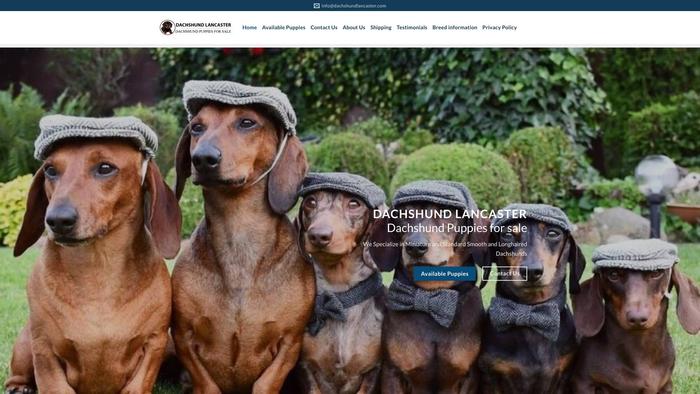 Dachshundlancaster.com - Dachshund Puppy Scam Review