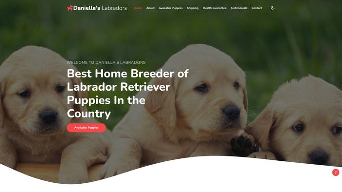 Daniellaslabradors.com - Labrador Puppy Scam Review