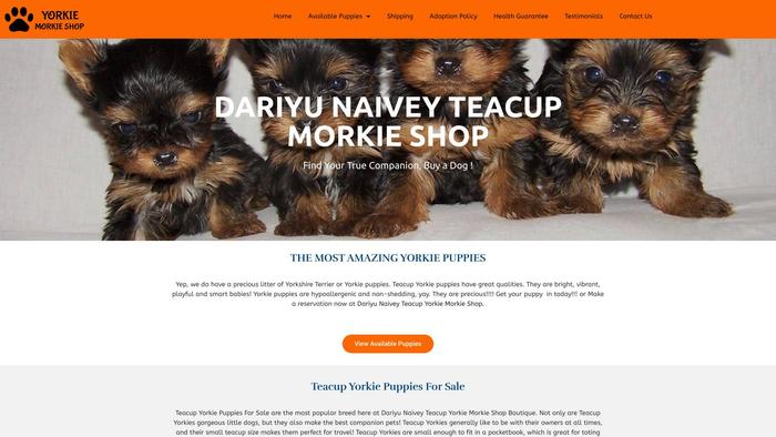 Dariyunaiveyteacupyorkiemorkieshop.com - Yorkshire Terrier Puppy Scam Review